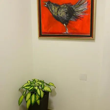 Apartment Lux Kladovo