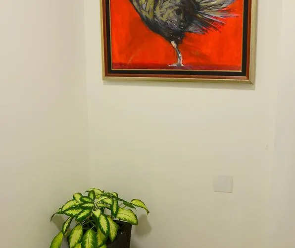 Apartment Lux Kladovo